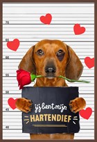 valentijn kaart chocolade grappig hond jij bent mijn hartendief